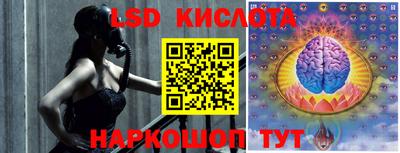 шишки Заволжье