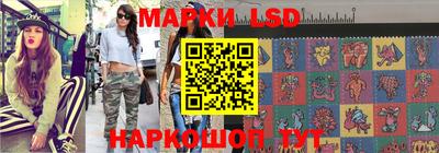 шишки Заволжье