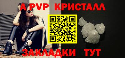 шишки Заволжье