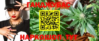 шишки Заволжье