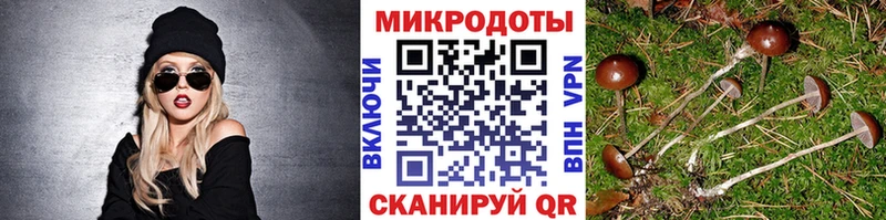 Псилоцибиновые грибы мицелий  Туапсе 