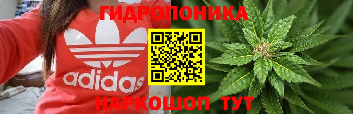 Марихуана White Widow  Бошки марихуана ГИДРОПОН  Туапсе  Вход с VPN  Конопля конопля 